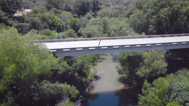 Barn Swallows Fly Camera Drone Flies Bridge San Antonio River — 图库视频影像