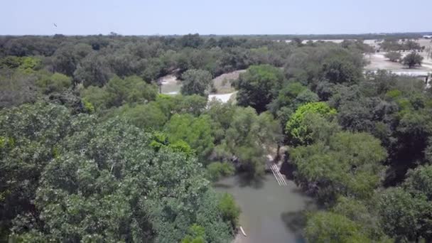 Barn Swallows Fly Camera Drone Flies Park San Antonio River — 图库视频影像