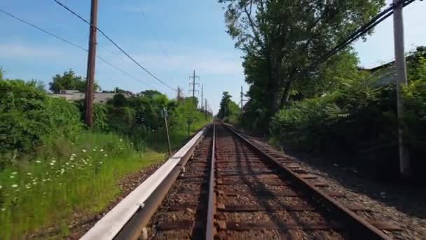 Low Angle View Looking Straight Train Tracks Green Trees Either — Stok video