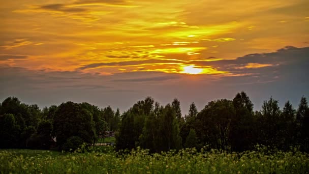 Golden Sun Glows Forest Sets Trees Time Lapse — Vídeo de Stock