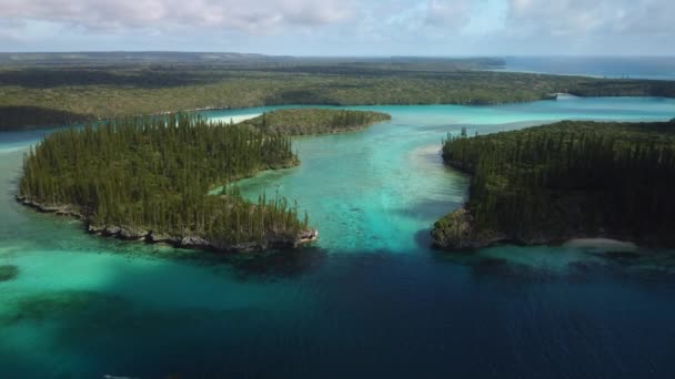 Amazing Aerial Parallax View Isle Pines Oro Bay Forest Stretches — 图库视频影像