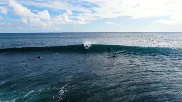 Pull Out Shot Surfer Catching Riding Short Wave Hawaii — Stock videók