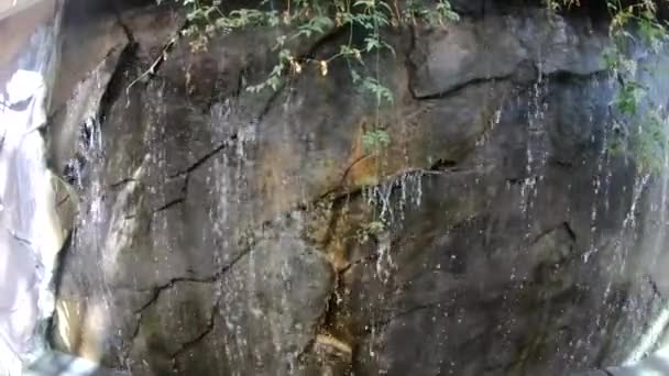 Slow Motion Indoor Waterfall Flowing Small Rock Cliff — Stockvideo