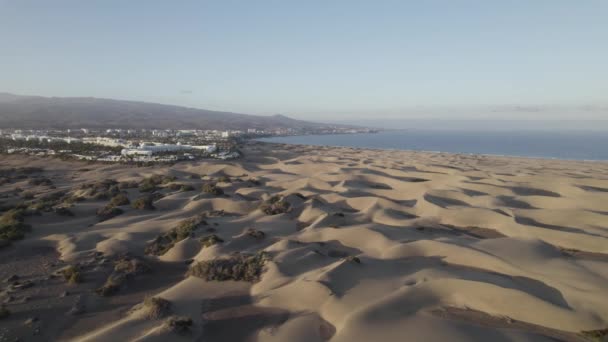 Maspalomas Sand Dunes Located Coast Island Gran Canaria Spain — Stockvideo