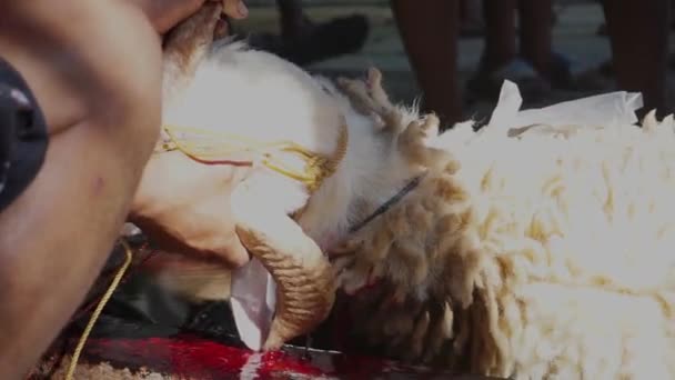 Goat Slaughter Eid Adha Celebration Mosque Courtyard Magelang Central Java — Videoclip de stoc
