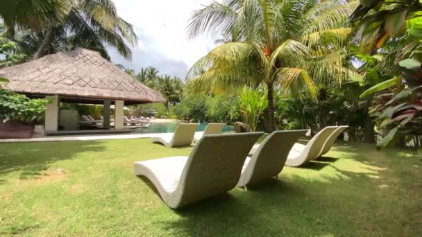 Row Empty Sun Loungers Grounds Swimming Pool Tropical Resort Hotel — Stockvideo
