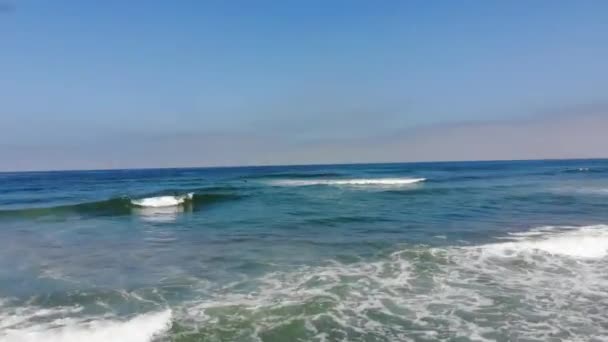 Surfers Del Mar Beach California San Diego — Video Stock