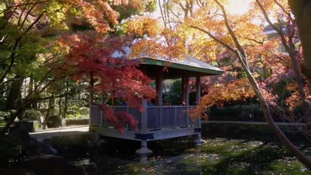Beautiful Park Tokyo Fall Season — Stockvideo