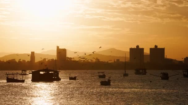 Fishing Boats Sailboats Anchored Bay Florianopolis Brazil Silhouette Golden Hour — Stockvideo