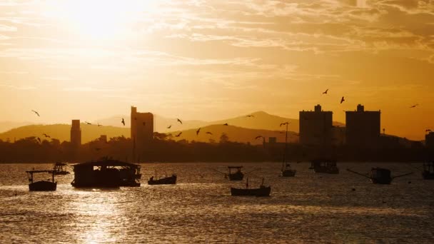 Birds Flying Slow Motion Fishing Boats Sailboats Anchored Bay Florianopolis — Video Stock