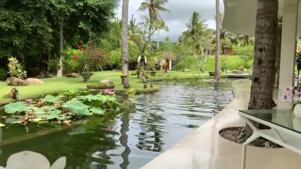 Hotel Staff Feeding Birds Jivana Resort Kuta Lombok — Stockvideo