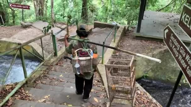 Balinese Local Walking Steps Small Bridge Carrying Bird Cage Bamboo — Stockvideo