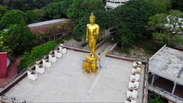 Aerial Backward Moving Shot Golden Statue Temple Surrounded Forest Trees — Vídeo de stock