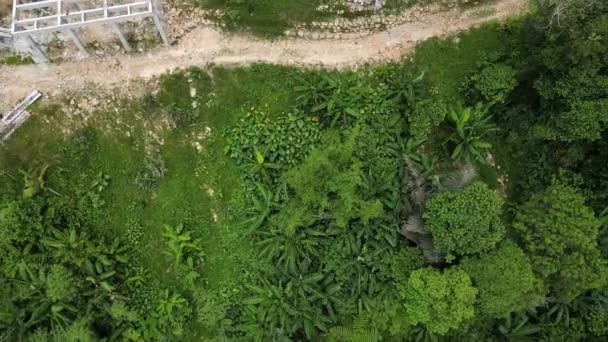 Aerial Drone Tilt Shot Buddhist Monastery View Golden Buddha Statue — Vídeo de stock