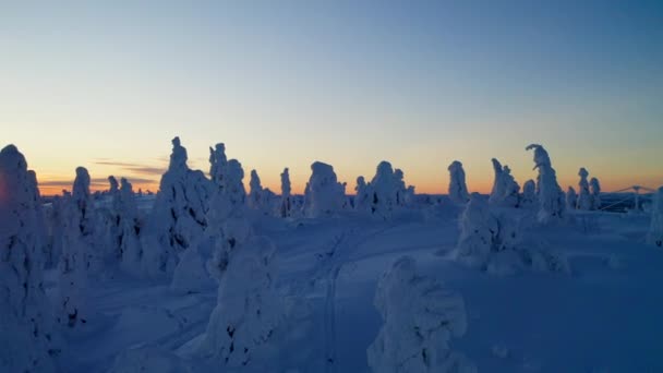 Idyllic Freezing Snow Covered Alien Lapland Landscape Aerial View Rising — Stockvideo