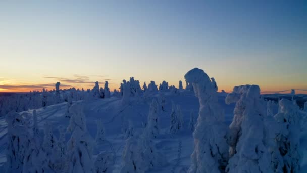 Idyllic Freezing Snow Covered Alien Lapland Landscape Aerial View Moving — Vídeo de Stock