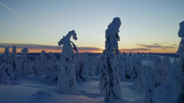 Snow Covered Lapland Nordic Wintertime Alien Forest Trees Landscape Rising — Vídeo de Stock