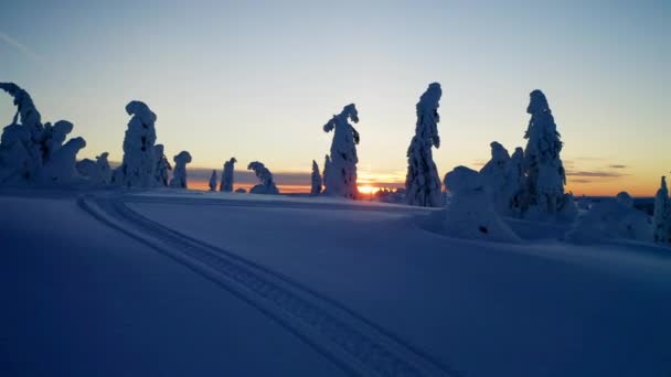 Scenic Snow Covered Alien Lapland Wintertime Forest Trees Landscape Rising — Video