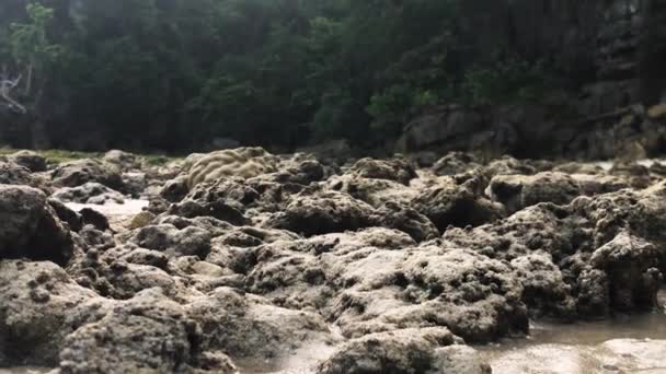 Rocky Shore Low Tide Tropical Beach Philippines Zoom Out — 비디오