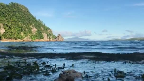 Seascape Tropical Island Summer Wide Zoom — 비디오