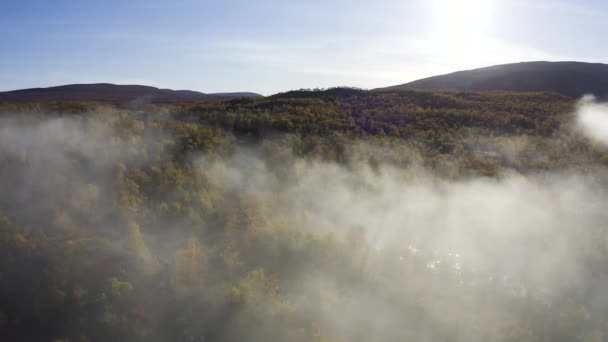 Flying Misty Foggy Forest Full Autumn Colors — стоковое видео