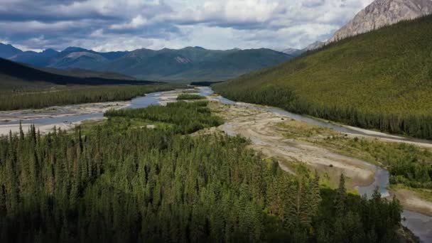 Aerial View Multibranch River Spruce Green Forest Brooks Range Mountains — Stockvideo