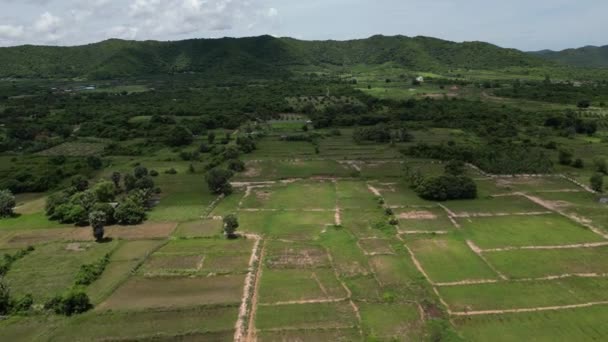 Drone Dans Province Kampot Dessus Verdoyants Paysages Nature Champs Cambodge — Video