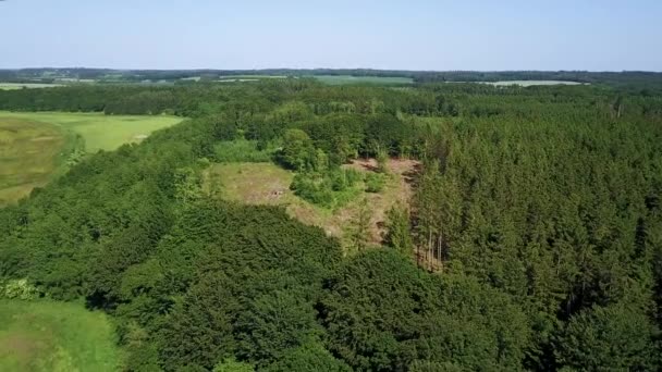 Green Forest Deforestation Area Landscape Aerial Drone Shot — Stock video