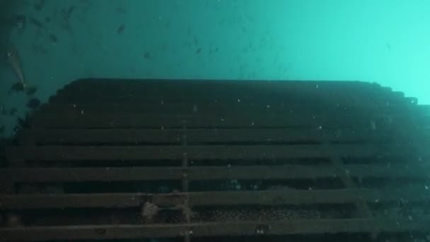 Commercial Divers View Inspecting Large Metal Infrastructure Deep Ocean — Vídeos de Stock