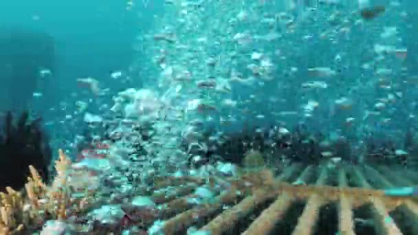 Streams Bubble Rise Underwater Grate Part Desalination Plant Deep Ocean — Video Stock