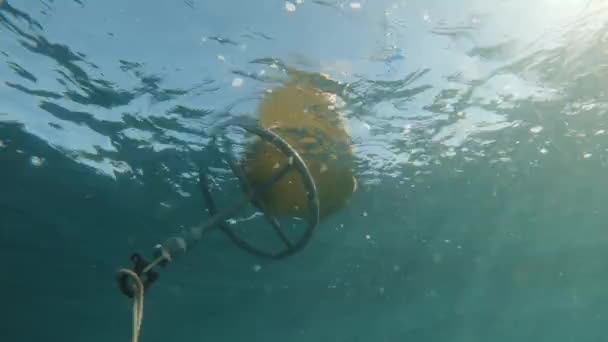 Scuba Divers View Ascending Water Next Dive Flag Bobbing Ocean — Vídeo de stock