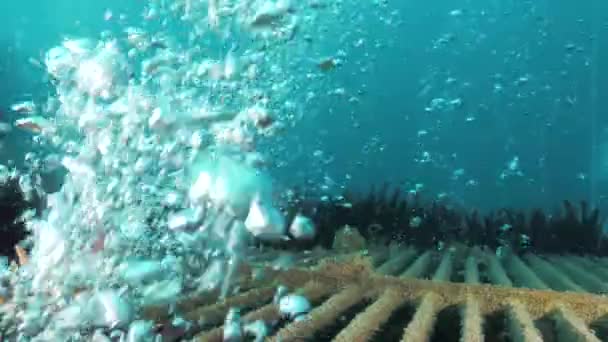 Stromen Van Zeepbellen Stijgen Terwijl Duikers Inspecteren Een Onderwater Infrastructuur — Stockvideo