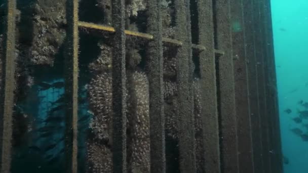 Унікальний Підводний Вигляд Інфраструктури Опріснення Заводу Побудованої Глибоко Під Океаном — стокове відео