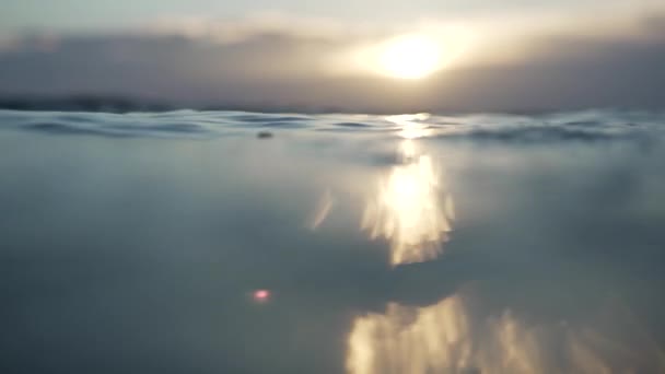 Drowning Person Going Massive Sea Wave Sunset Pov Camera View — Video
