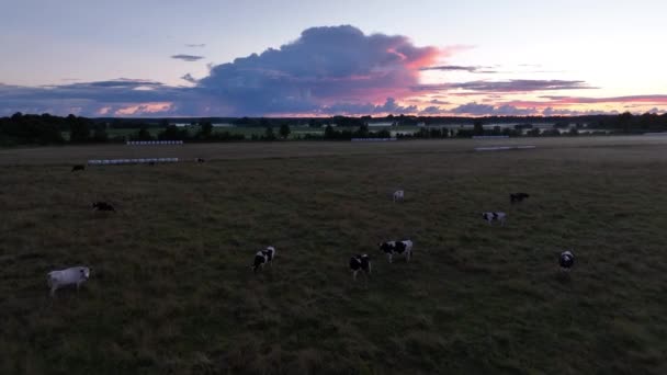 Drone Footage Sunset Pasture Saaremaa Estonia — Vídeos de Stock