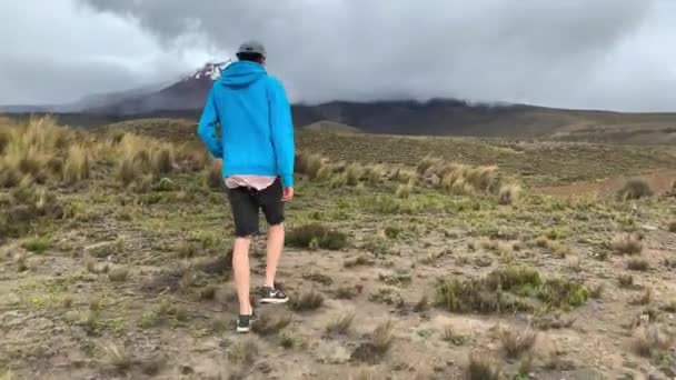 Adult Male Wearing Shorts Walking Windy Grassland Chimborazo Volcano Stopping — Wideo stockowe