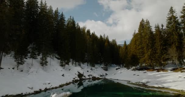 Revealing Shot Lake Cauma Starting Forest — Stock video