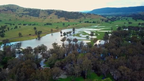 Slow Moving Aerial Footage Swollen Floodplains Mitta Mitta River Enters — Video Stock