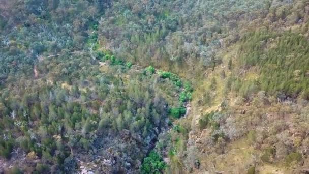 Aerial View Spring Creek Beechworth Cascades North East Victoria Australia — Vídeos de Stock