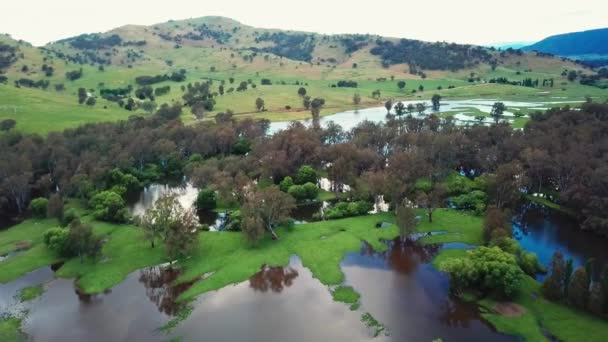 Slow Moving Drone Footage Swollen Floodplains Mitta Mitta River Enters — Vídeo de Stock
