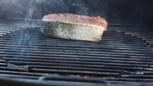 Placing Fresh Wild Caught Seasoned Salmon Steaks Preheated Grill — Stockvideo