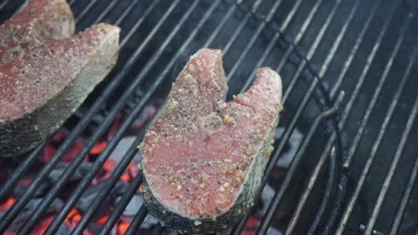 Seasoned Salmon Steaks Grill Glowing Coals Top Panning Close — Video Stock