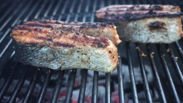 Grilling Wild Caught Salmon Steaks Barbeque Healthy Entre Isolated Subtle — Video