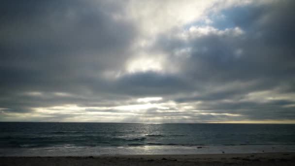 Ocean Waves Lapping People Silhouette Walk Torrance Beach California Moody — 비디오