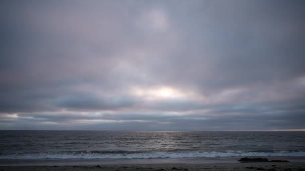 Seabirds Run Shore Sun Sets Ocean Gloomy Day Time Lapse — Wideo stockowe