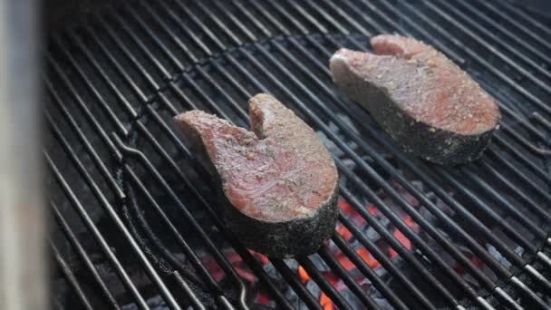 Fresh Wild Caught Salmon Steaks Backyard Barbecue Grilling Hot Coals — 图库视频影像