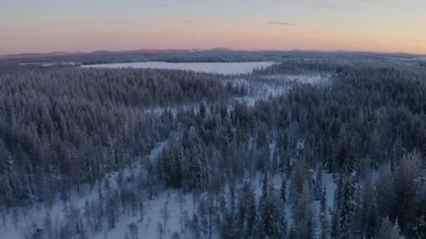 Snowy Sweden Lapland Tranquil Snow Covered Woodland Trees Scenery Aerial — Stockvideo