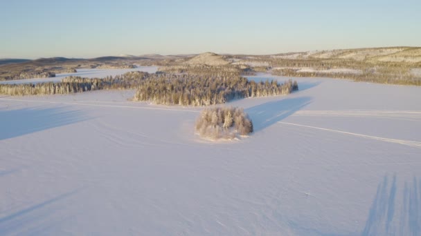 Aerial Wide View Circle Isolated Frosty Woodland Trees Casting Shadows — Stock video