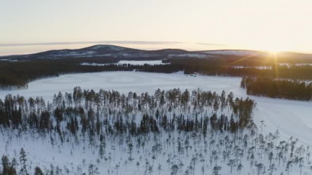 Snowy Freezing Sweden Lapland Quiet Snow Covered Woodland Scenery Aerial — Stockvideo