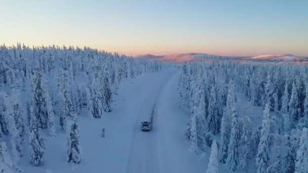 Aerial View Vehicle Travelling Freezing Snowy Remote Woodland Road Sunrise — Video